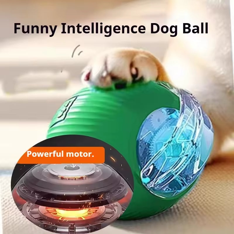 Smart Interactive Pet Ball Toy with Faux Tail – Automatic & Rechargeable