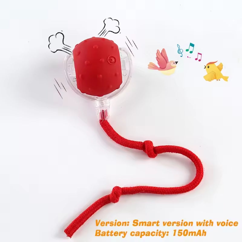Smart Interactive Pet Ball Toy with Faux Tail – Automatic & Rechargeable