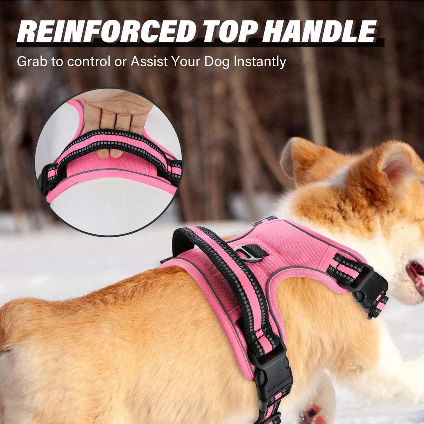 Escape-Proof No Pull Dog Harness and Leash Set