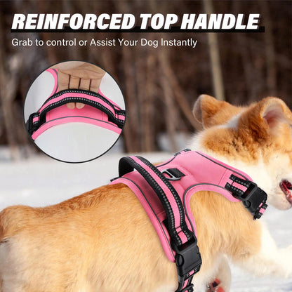 Escape-Proof No Pull Dog Harness and Leash Set
