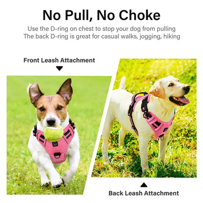 Escape-Proof No Pull Dog Harness and Leash Set
