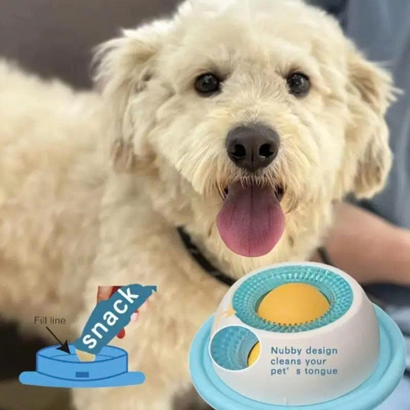 Interactive Dog Licking Toy & Slow Feeder Bowl