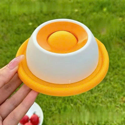 Interactive Dog Licking Toy & Slow Feeder Bowl