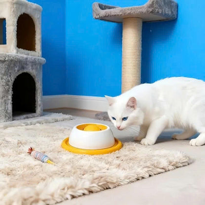 Interactive Dog Licking Toy & Slow Feeder Bowl
