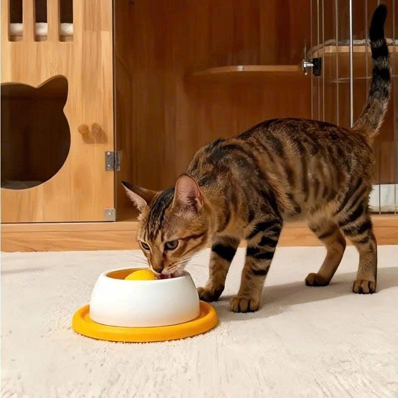Interactive Dog Licking Toy & Slow Feeder Bowl