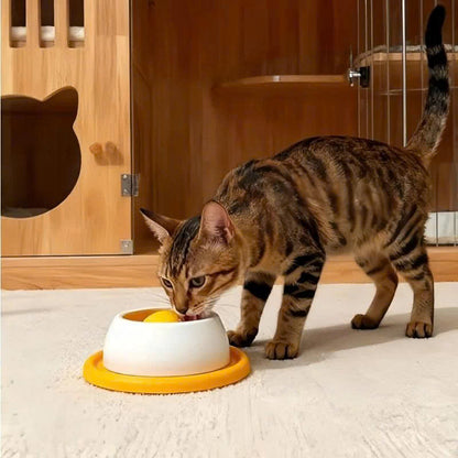 Interactive Dog Licking Toy & Slow Feeder Bowl
