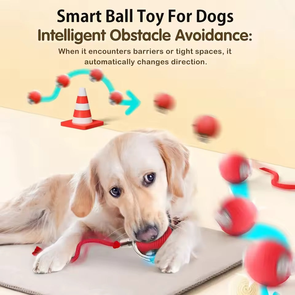Smart Interactive Pet Ball Toy with Faux Tail – Automatic & Rechargeable