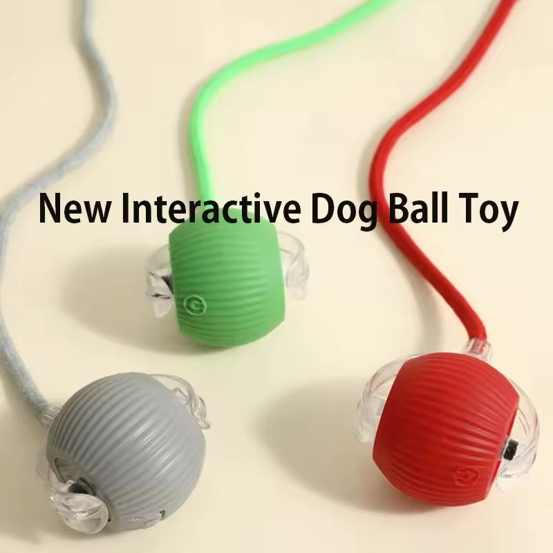 Smart Interactive Pet Ball Toy with Faux Tail – Automatic & Rechargeable