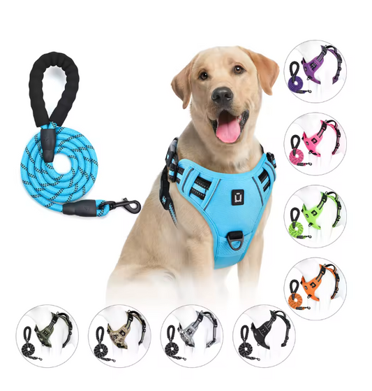Escape-Proof No Pull Dog Harness and Leash Set