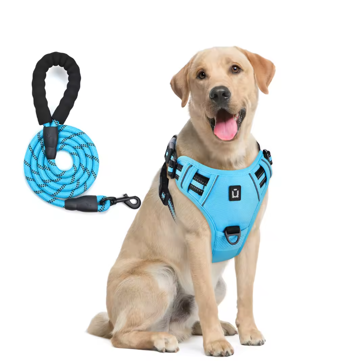 Escape-Proof No Pull Dog Harness and Leash Set