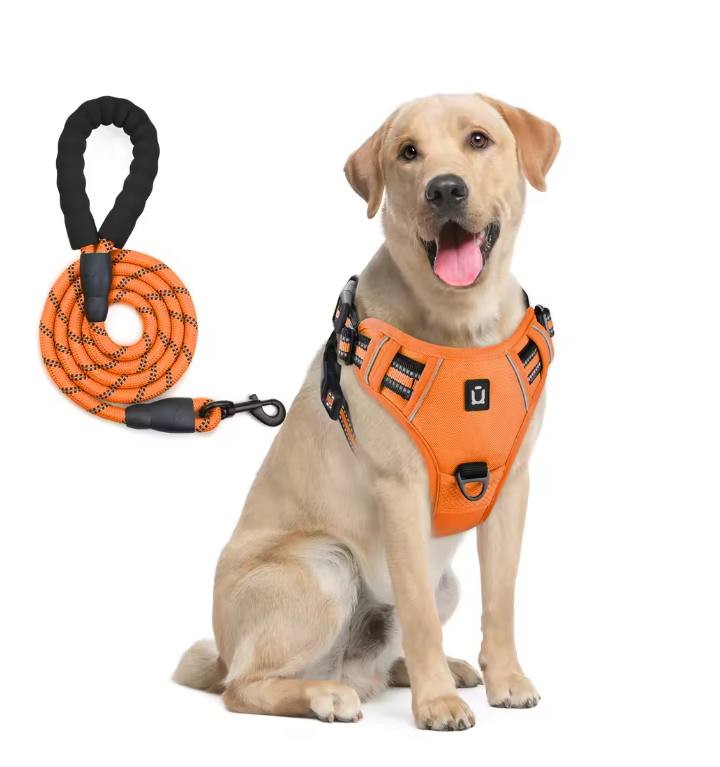 Escape-Proof No Pull Dog Harness and Leash Set