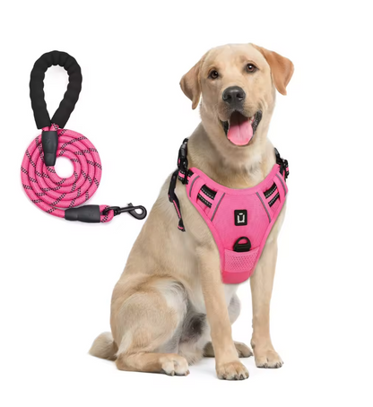 Escape-Proof No Pull Dog Harness and Leash Set