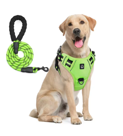Escape-Proof No Pull Dog Harness and Leash Set