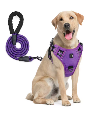 Escape-Proof No Pull Dog Harness and Leash Set