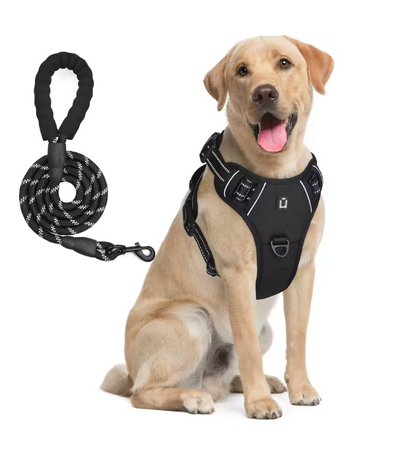 Escape-Proof No Pull Dog Harness and Leash Set