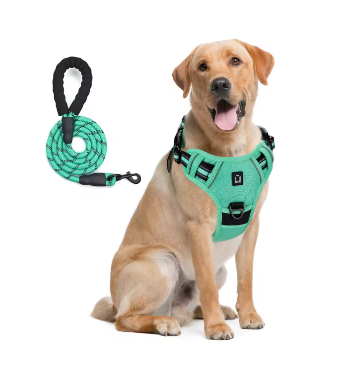 Escape-Proof No Pull Dog Harness and Leash Set