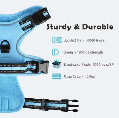 Escape-Proof No Pull Dog Harness and Leash Set