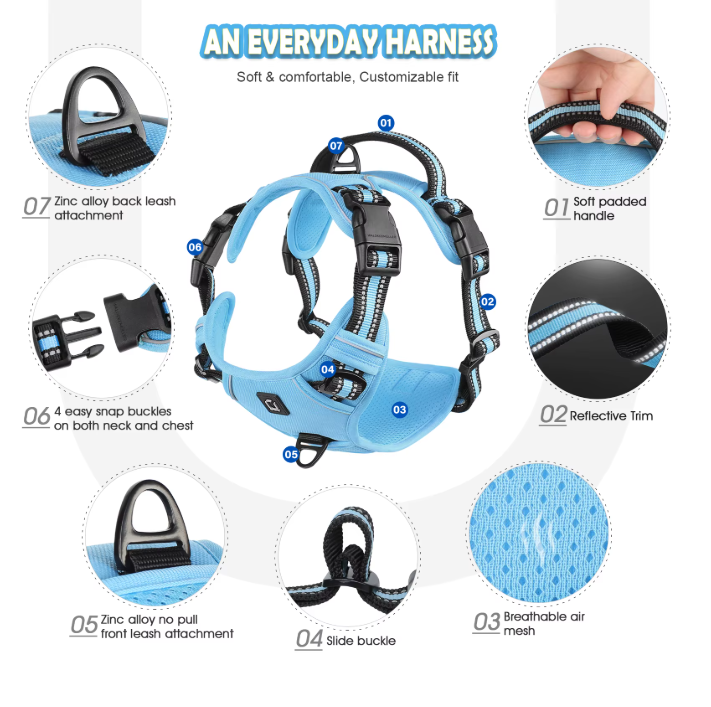 Escape-Proof No Pull Dog Harness and Leash Set