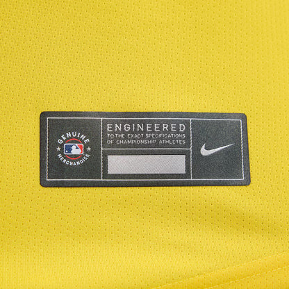 Youth Boston Red Sox David Ortiz City Connect Replica Player Jersey