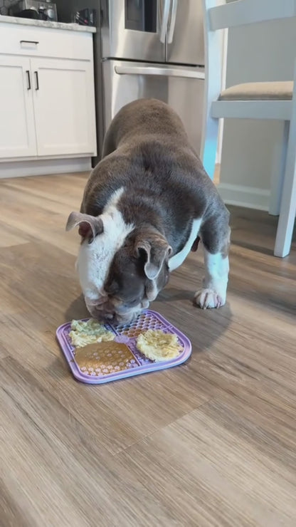 Summer Cooling Slow Feeder Pet Licking Mat with Suction Cups
