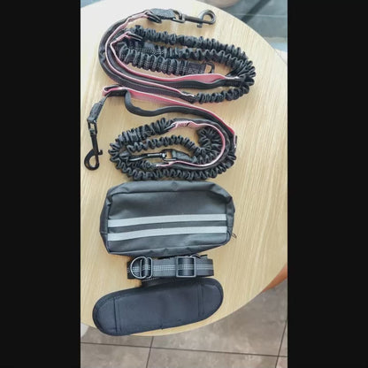 Hands-Free Dual Dog Leash with Removable Pouch & Shock Absorbing Bungee