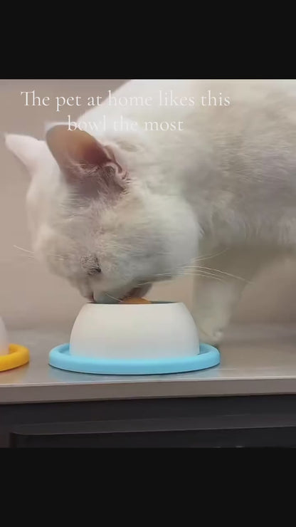 Interactive Dog Licking Toy & Slow Feeder Bowl