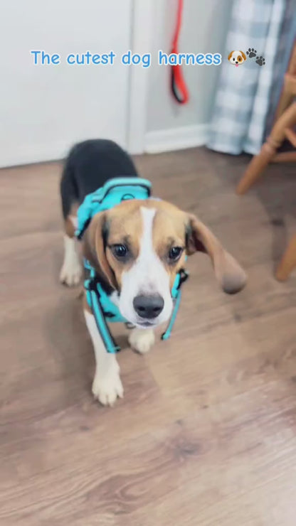 Escape-Proof No Pull Dog Harness and Leash Set