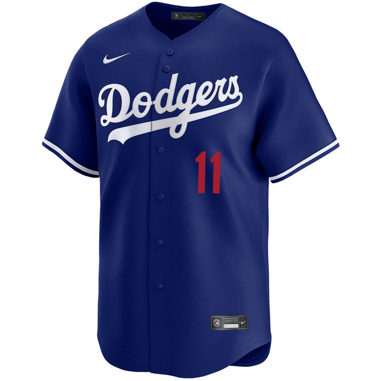 Roki Sasaki Los Angeles Dodgers Alternate Royal Limited Jersey