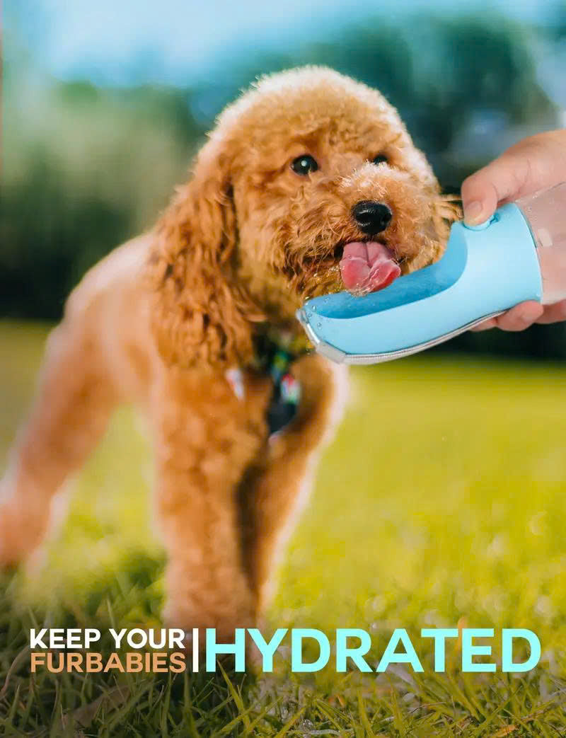 3-in-1 Portable Pet Water Bottle (20oz) with Food & Poop Bag Holder