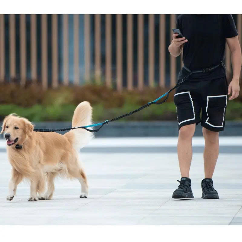 Hands-Free Dual Dog Leash with Removable Pouch & Shock Absorbing Bungee