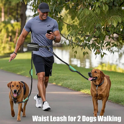 Hands-Free Dual Dog Leash with Removable Pouch & Shock Absorbing Bungee