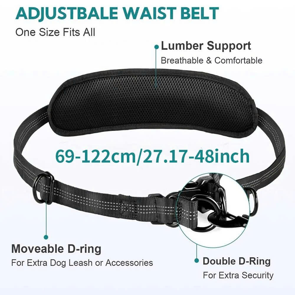 Hands-Free Dual Dog Leash with Removable Pouch & Shock Absorbing Bungee
