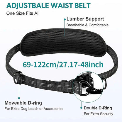 Hands-Free Dual Dog Leash with Removable Pouch & Shock Absorbing Bungee