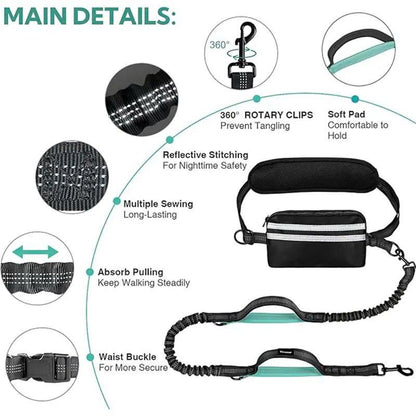 Hands-Free Dual Dog Leash with Removable Pouch & Shock Absorbing Bungee