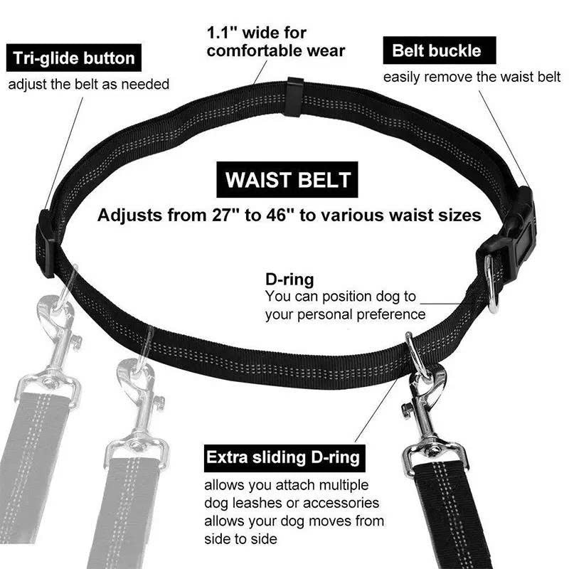 Hands-Free Dual Dog Leash with Removable Pouch & Shock Absorbing Bungee