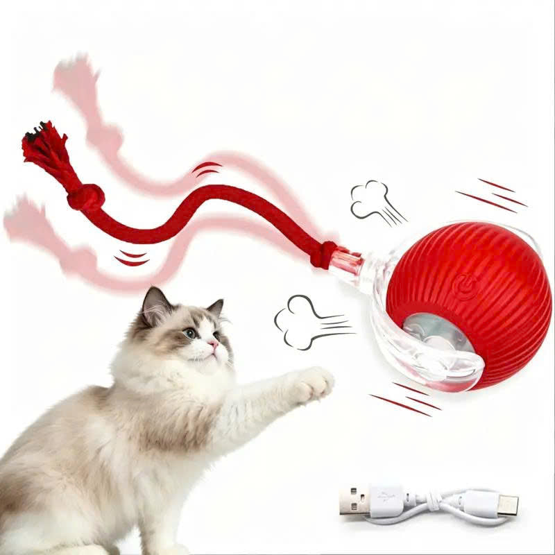 Smart Interactive Pet Ball Toy with Faux Tail – Automatic & Rechargeable