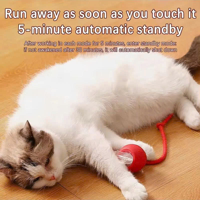 Smart Interactive Pet Ball Toy with Faux Tail – Automatic & Rechargeable