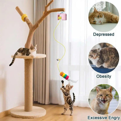 Automatic Hanging 2-in-1 Cat Toy – Flying Bird & Bouncing Caterpillar