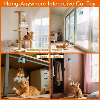 Automatic Hanging 2-in-1 Cat Toy – Flying Bird & Bouncing Caterpillar